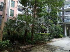 灵寿悦城小区爆料视频播放,揭秘真实居住环境与问题